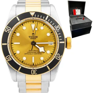 2018 Tudor Black Bay Heritage Two-Tone Gold Stainless Steel 41mm Watch 79733 N