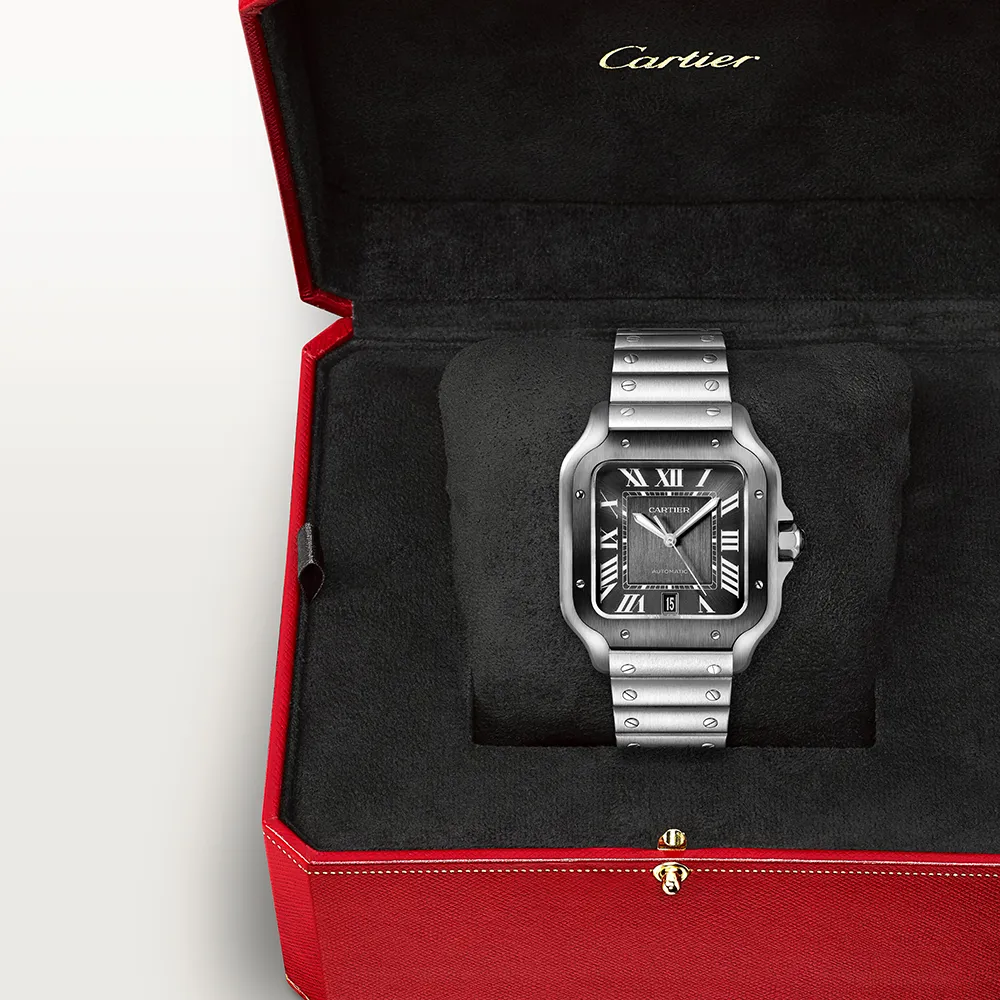 Cartier Santos de Cartier WSSA0037