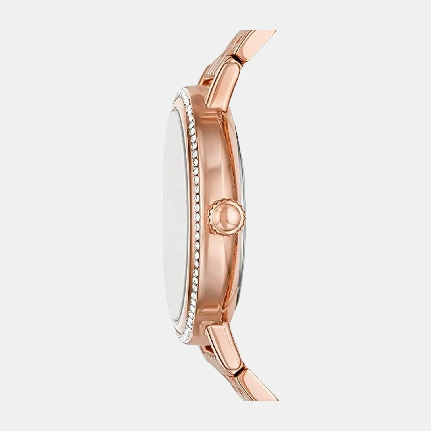 Women's Rose Gold Analog Stainless Steel Watch BQ3656